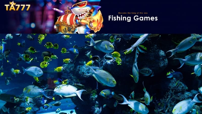 Fishing Games TA777